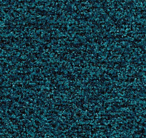 Грязезащитные покрытия Forbo Coral Brush 5705 Bondi blue фото 1 | FLOORDEALER